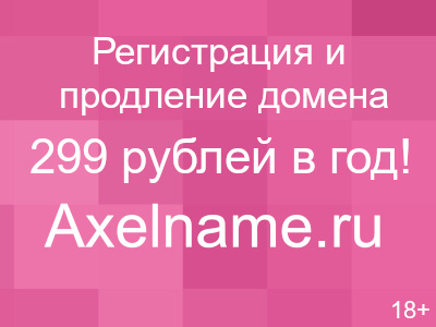 surfholidays